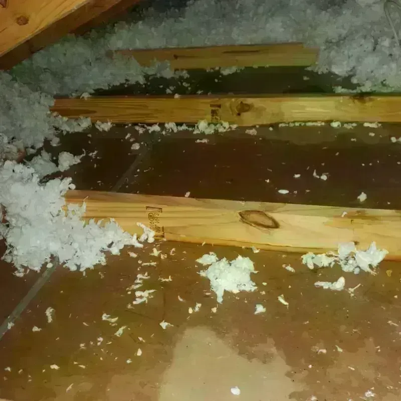 Attic Water Damage in Pollock Pines, CA