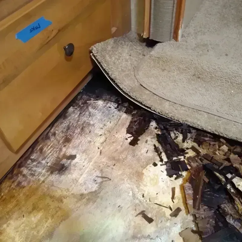 Wood Floor Water Damage in Pollock Pines, CA